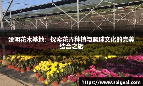 姚明花木基地：探索花卉种植与篮球文化的完美结合之旅