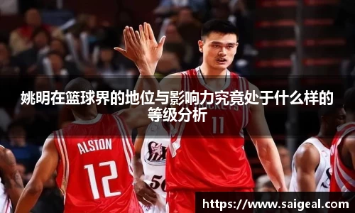 姚明在篮球界的地位与影响力究竟处于什么样的等级分析